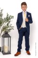 Boys Navy & Ivory Tail Suit with Gold Tie - Darcy