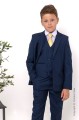 Boys Navy Suit with Gold Tie - Stanley