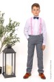 Boys Light Grey Trouser Suit with Light Pink Braces - Guy