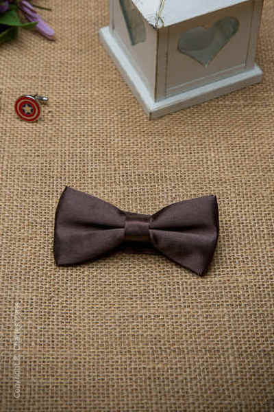 Boys Brown Adjustable Satin Dickie Bow