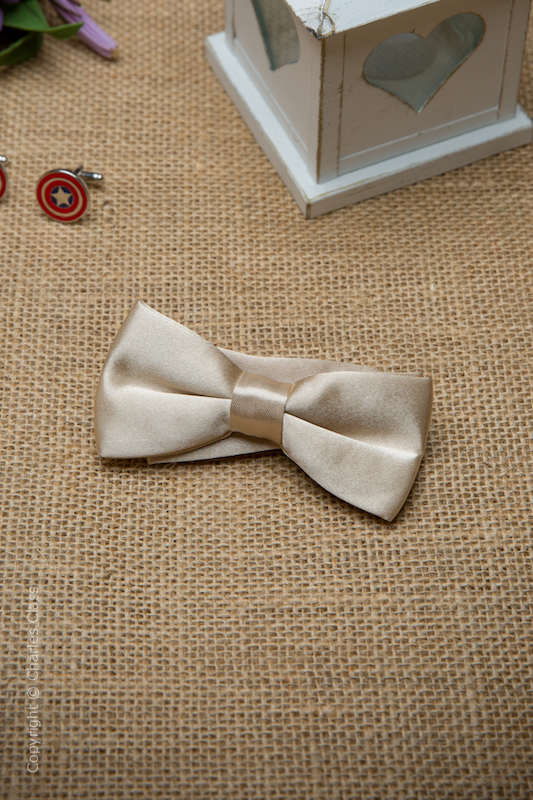 Boys Champagne Adjustable Satin Dickie Bow