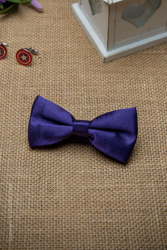 Boys Dark Purple Adjustable Satin Dickie Bow