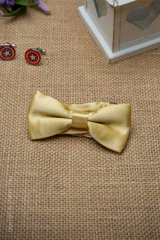 Boys Gold Adjustable Satin Dickie Bow