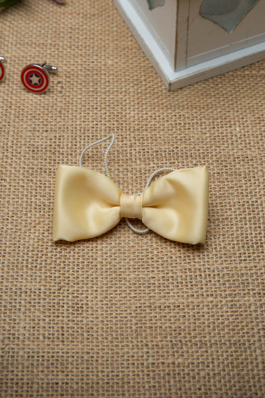 Boys Gold Elasticated Satin Dickie Bow