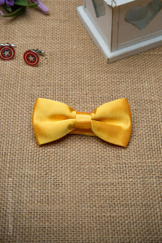 Boys Marigold Adjustable Satin Dickie Bow