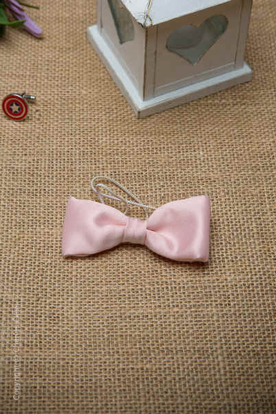 Boys Pale Pink Elasticated Satin Dickie Bow