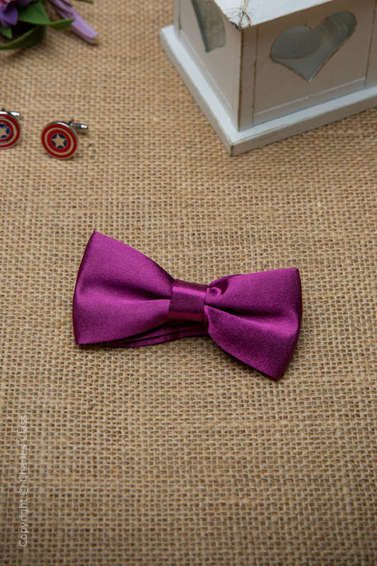 Boys Plum Adjustable Satin Dickie Bow